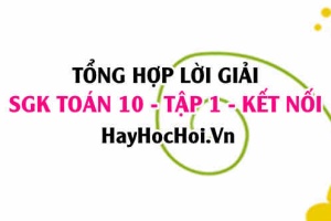 Giải Bài tập Toán 10 tập 1 SGK Kết nối tri thức